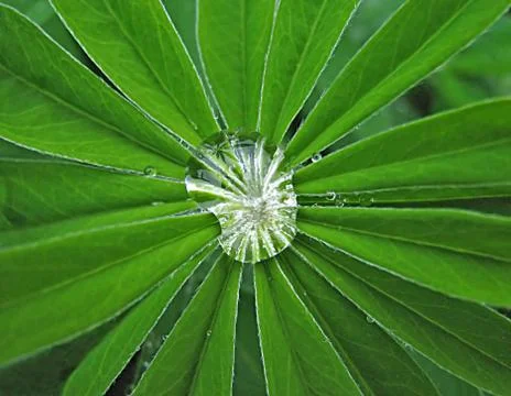 After the rain Stock Photos