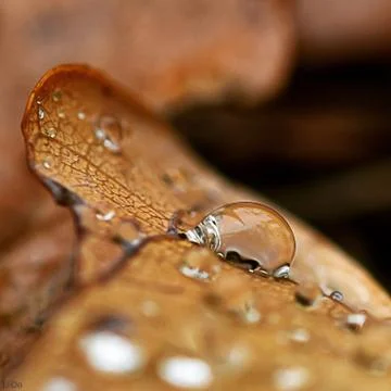 After the rain Stock Photos