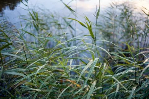 After the rain Stock Photos