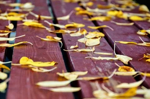 After the rain Stock Photos