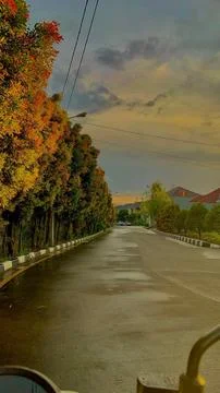 After Rain Stock-Fotos