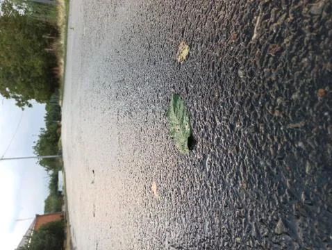 After a rainstorm 스톡 사진