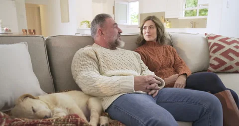 After settling on light-gray sofa, couple sharing story to laugh while puppy Stock Footage 314656162