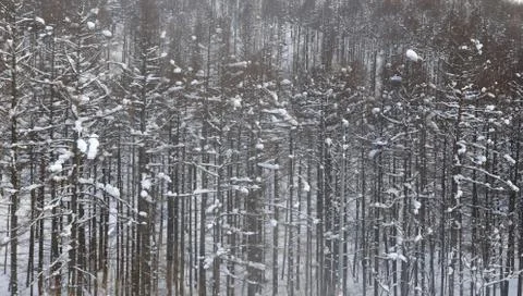 After the snow mountain Stock Photos