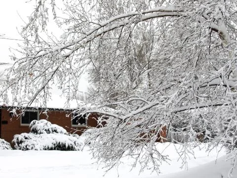 After snow storm Stock Photos