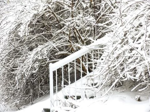 After snow storm Stock Photos