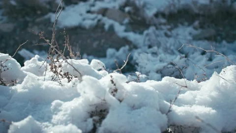 After-snow sun - snow on small grass Stock Footage 233590397