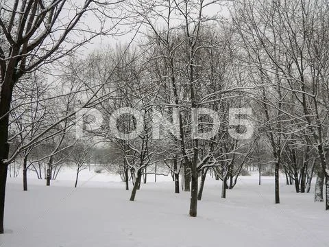 After snowfall Stock Photos