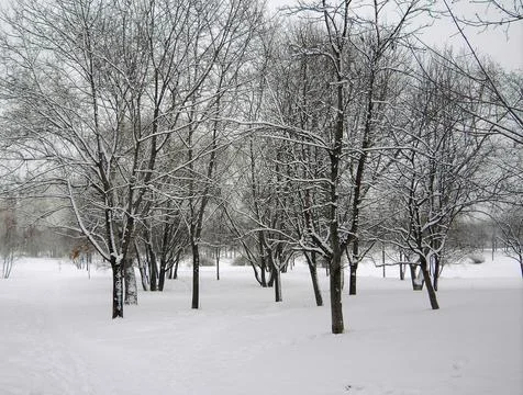 After snowfall Stock Photos
