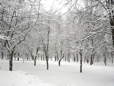After snowfall Stock Photos