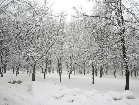 After snowfall Stock Photos