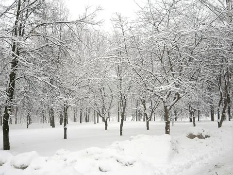 After snowfall Stock Photos