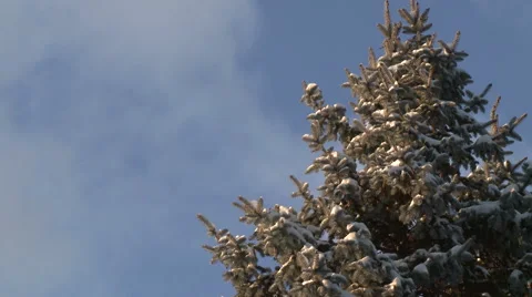 After the Snowstorm 스톡 동영상 54713966