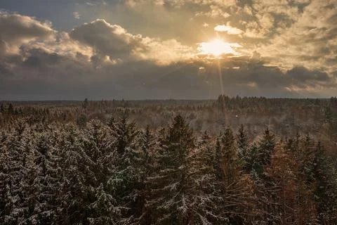 After a snowy day, the sun is shining at the white tree tops. Stock Photos