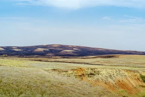 After the steppe fire Stock Photos