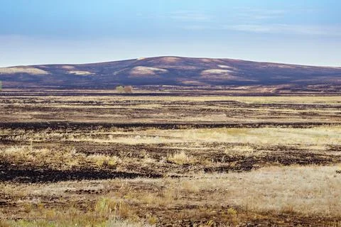 After the steppe fire Stock Photos