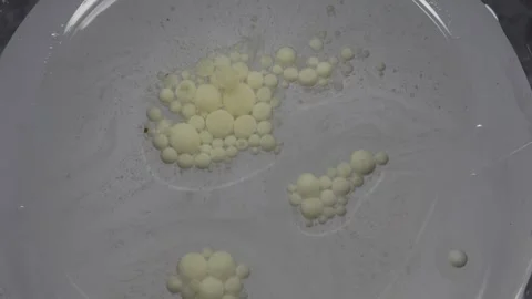 After stirring, the oil layer separates from the water Vídeo Stock 337471408