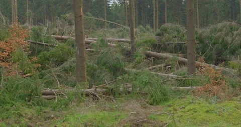 After The Storm - camera tilt Vídeo Stock 155574209