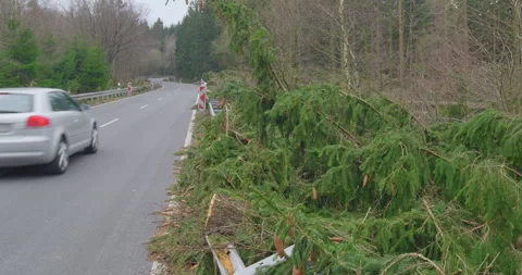 After The Storm - Fallen trees and damaged guardrails - sequence Vídeo Stock 156863321