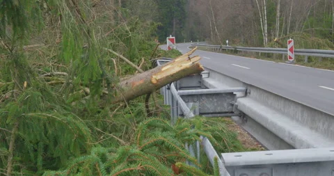 After The Storm - Fallen trees and damaged guardrails - sequence Stock-Footage 156863524