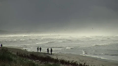 After the storm Stock Footage 76700610