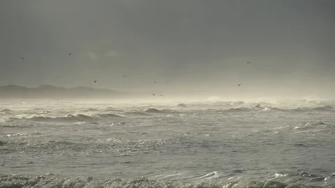 After the storm Stock Footage 76700636