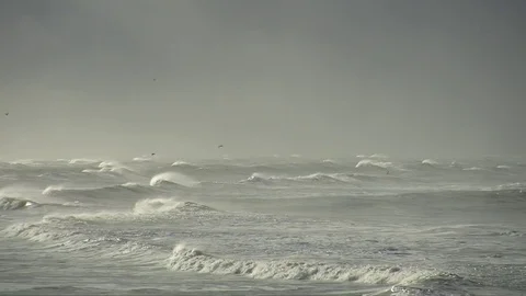 After the storm Stock Footage 76737830