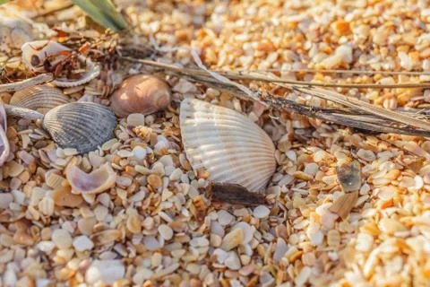 After the storm Photos