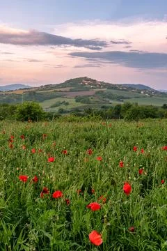 After the storm Stock Photos
