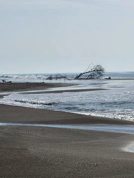 After storm Stock Photos