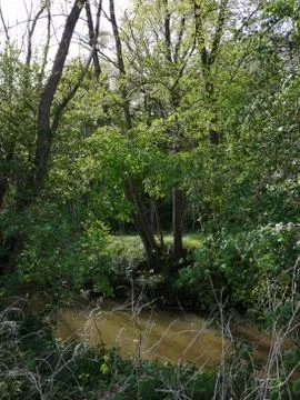 After  strong  RAIN Stock Photos