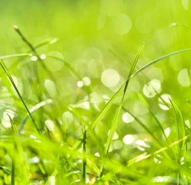 After a summer rain Stock Photos