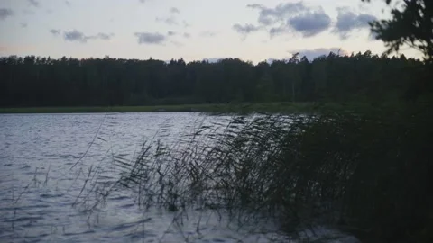 After sunset, the evening dusk sets in, the wind raises small waves. Stockbeeldmateriaal 230011208