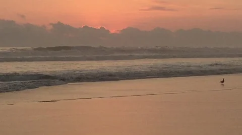 After Sunset, Sun Behind Clouds Above Ocean, Colorful Sky at Beach Stock Footage 49066084