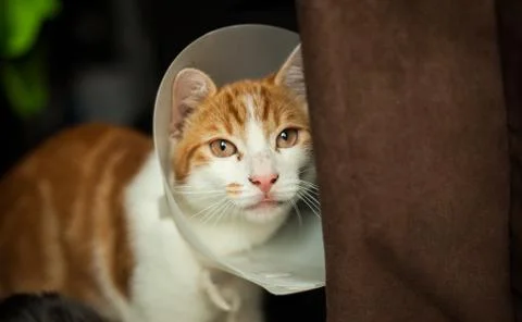 After surgery Stock Photos