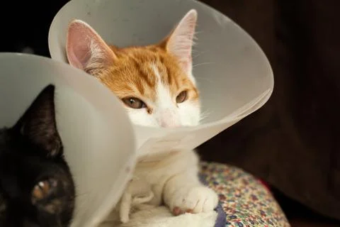 After surgery Stock Photos