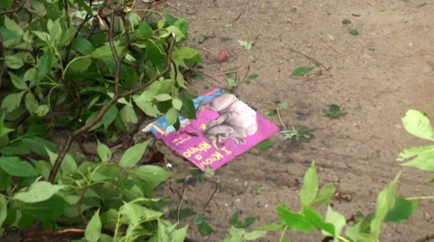 After the Twister Stock Footage 54749986