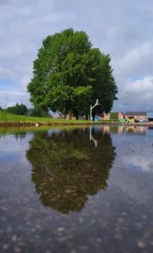 After a week of rain, the blue sky - 3 Stock Photos