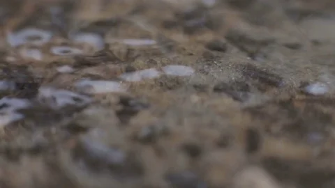 After the winter snow is melting, the flow of water Stock Footage 72860378