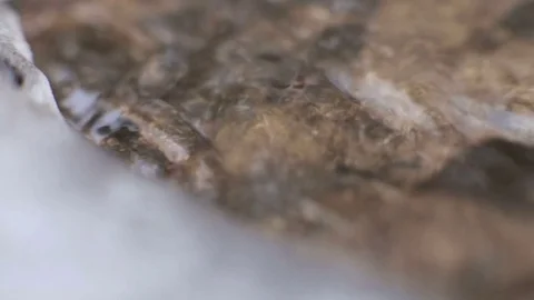After the Winter Snow is Melting, the Flow of Water  in Wooded Area Video stock 73002852