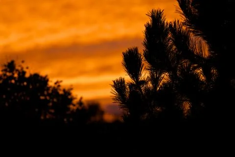 Afterglow Stock Photos
