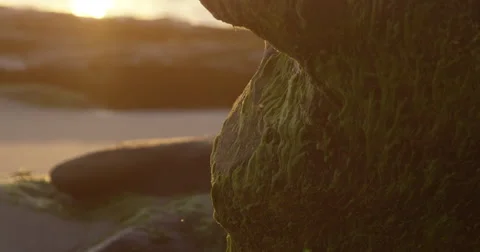Afterglow of rock on sandy beach Stock Footage 68562189