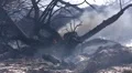 Aftermath of a big fire HD Footage