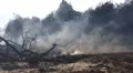 Aftermath of a big fire HD Footage