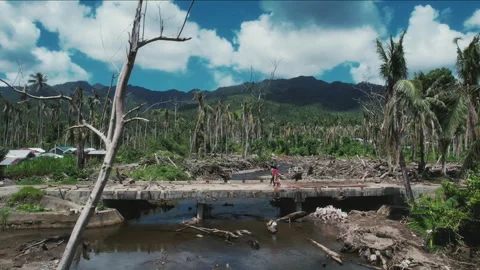 Aftermath of a devastating typhoon in a tropical landscape 库存影片 334387467