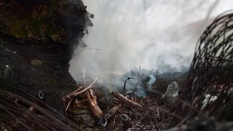 Aftermath fire. Emergence fire. Smoke. The ashes. Dry peat. Stock Footage 80044424