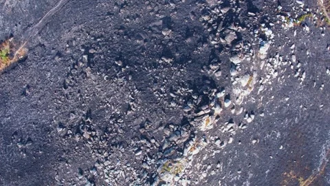 Aftermath of a Forest Fire Stock-Footage 318373984