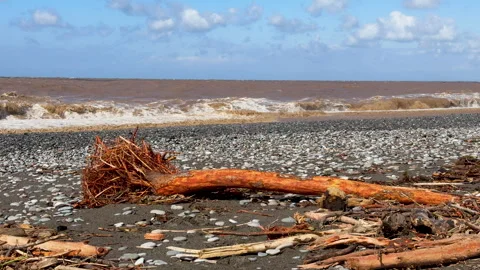 Aftermath Of A Heavy Rain And Storm On A Pebble Beach Stock Footage 317820854