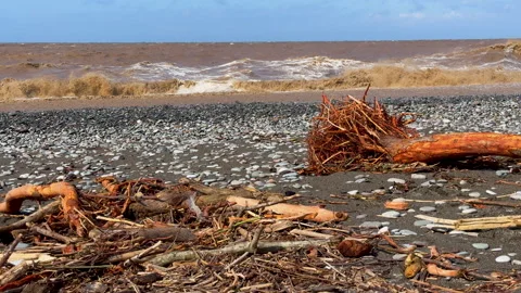 Aftermath Of A Heavy Rain And Storm On A Pebble Beach Video stock 317820927