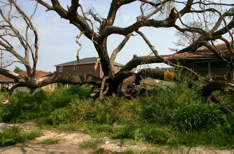 Aftermath of Hurricane Katrina Stock Photos